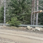 Парцел в Доспат - 996 кв.м за 34 €/кв.м - Снимка #1