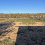 Дава се под наем Гараж / Паркомясто в София, Световрачене - 600 кв.м за 510 € - Снимка #1