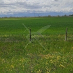 Парцел в с. Труд, Област Пловдив - 7690 кв.м за 6 €/кв.м - Снимка #1