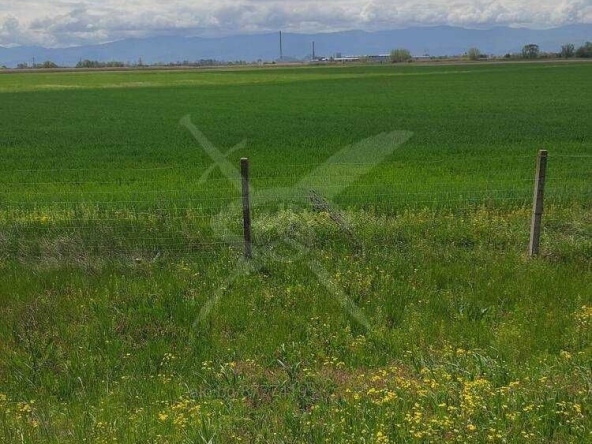 Парцел в с. Труд, Област Пловдив - 7690 кв.м за 6 €/кв.м - Снимка #1