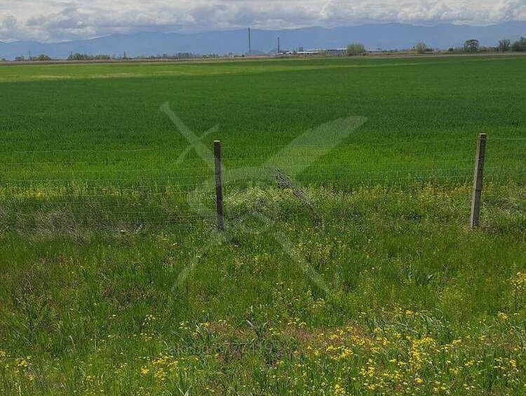 Парцел в с. Труд, Област Пловдив - 7690 кв.м за 6 €/кв.м - Снимка #1