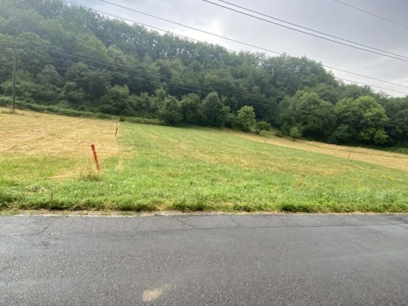 Парцел в Априлци - 1980 кв.м за 6 €/кв.м - Снимка #1