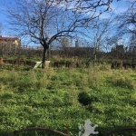 Парцел в Варна, м-т Боровец - север - 588 кв.м за 39 €/кв.м - Снимка #1