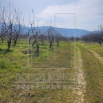 Парцел в с. Брестник, Област Пловдив - 6300 кв.м за 16 €/кв.м - Снимка #1