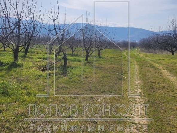 Парцел в с. Брестник, Област Пловдив - 6300 кв.м за 16 €/кв.м - Снимка #1