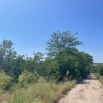 Парцел в с. Генерал Киселово, Област Варна - 3207 кв.м за 6 €/кв.м - Снимка #1