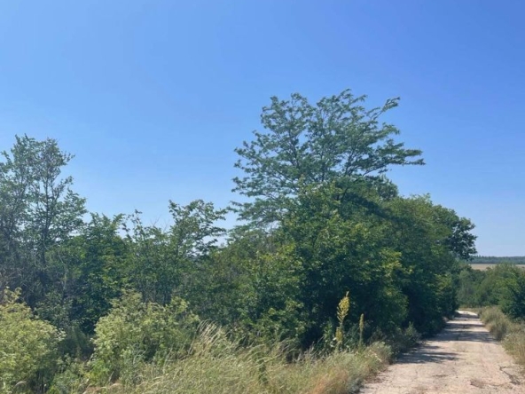 Парцел в с. Генерал Киселово, Област Варна - 3207 кв.м за 6 €/кв.м - Снимка #1