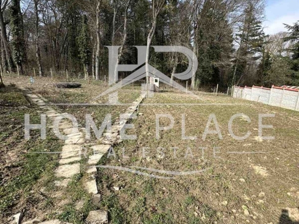 Парцел в Варна, м-т Боровец - север - 1250 кв.м за 36 €/кв.м - Снимка #1