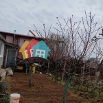 Къща в Варна, м-т Боровец - юг - 60 кв.м за 1011 €/кв.м - Снимка #1