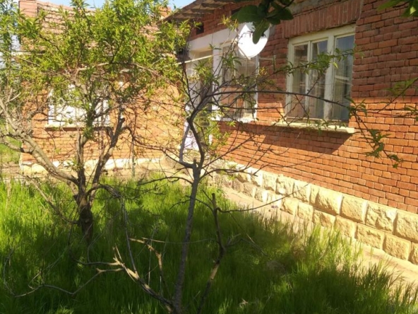 Къща в с. Райнино, Област Разград - 300 кв.м за 63 €/кв.м - Снимка #1