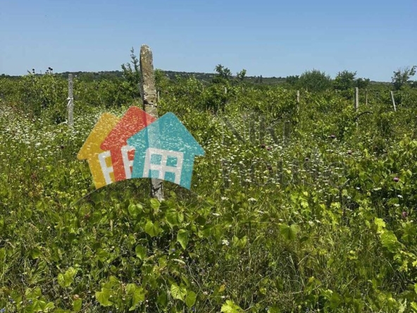 Парцел в Варна, м-т Прибой - 3419 кв.м за 82 €/кв.м - Снимка #1