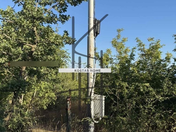 Парцел в Варна, м-т Боровец - юг - 487 кв.м за 71 €/кв.м - Снимка #1