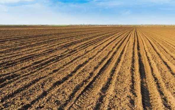 Земеделски имот в Плевен, Индустриална зона -  кв.м за 561 €/дка - Снимка #1