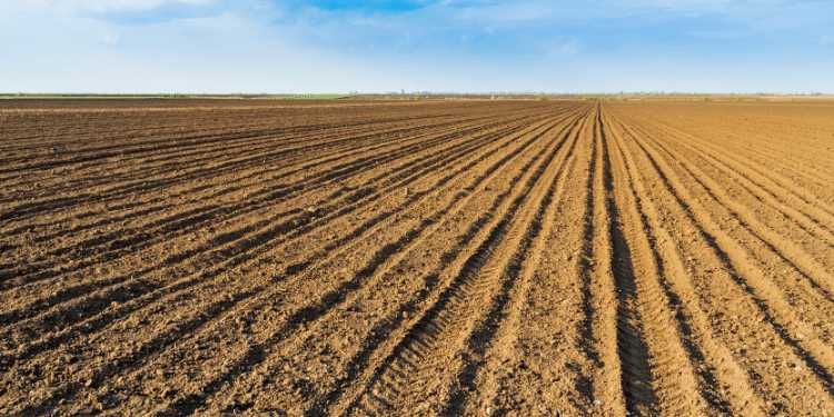 Земеделски имот в Плевен, Индустриална зона -  кв.м за 561 €/дка - Снимка #1