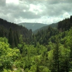 Парцел в Пловдив, Западен - 51460 кв.м за 3 €/кв.м - Снимка #1