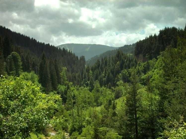 Парцел в Пловдив, Западен - 51460 кв.м за 3 €/кв.м - Снимка #1