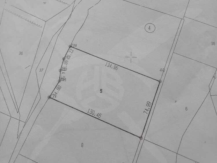 Парцел в с. Цар Калоян, Област Пловдив - 9895 кв.м за 6 €/кв.м - Снимка #1