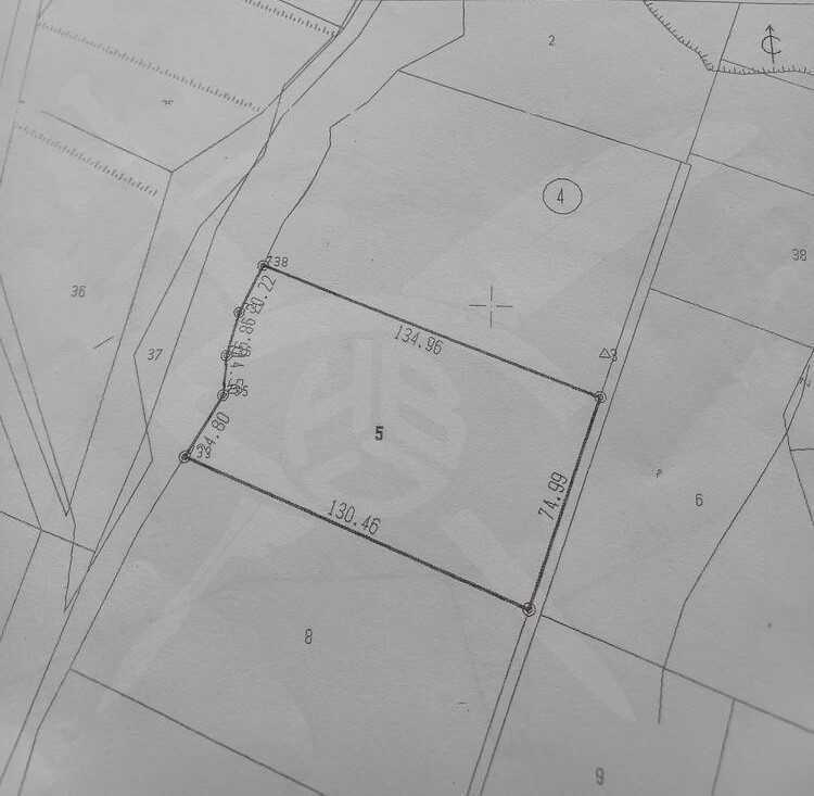 Парцел в с. Цар Калоян, Област Пловдив - 9895 кв.м за 6 €/кв.м - Снимка #1