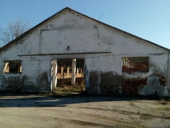 Склад в Шабла - 5000 кв.м за 21 €/кв.м - Снимка #1