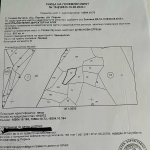 Парцел в с. Големо Бучино, Област Перник - 800 кв.м за 6 €/кв.м - Снимка #1
