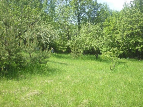 Парцел в с. Владая, Област София-град - 2500 кв.м за 12 €/кв.м - Снимка #1