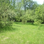 Парцел в с. Владая, Област София-град - 2500 кв.м за 12 €/кв.м - Снимка #1