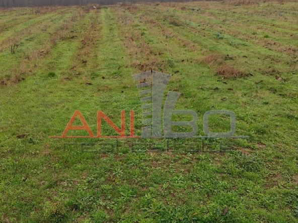 Парцел в с. Медово, Област Бургас - 7702 кв.м за 7 €/кв.м - Снимка #1