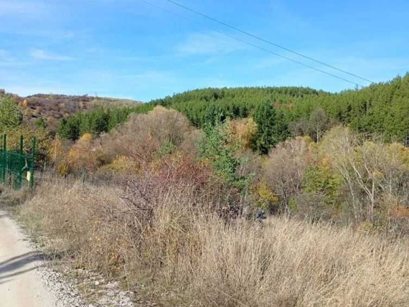 Парцел в с. Клисура, Област София-град - 1059 кв.м за 26 €/кв.м - Снимка #1