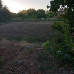 Парцел в с. Цалапица, Област Пловдив - 754 кв.м за 34 €/кв.м - Снимка #1