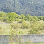 Парцел в Сапарева баня - 2000 кв.м за 64 €/кв.м - Снимка #1