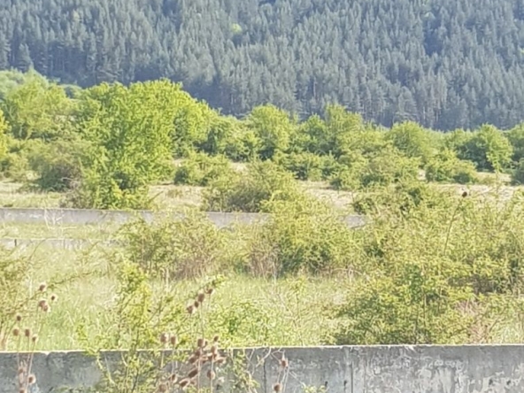 Парцел в Сапарева баня - 2000 кв.м за 64 €/кв.м - Снимка #1