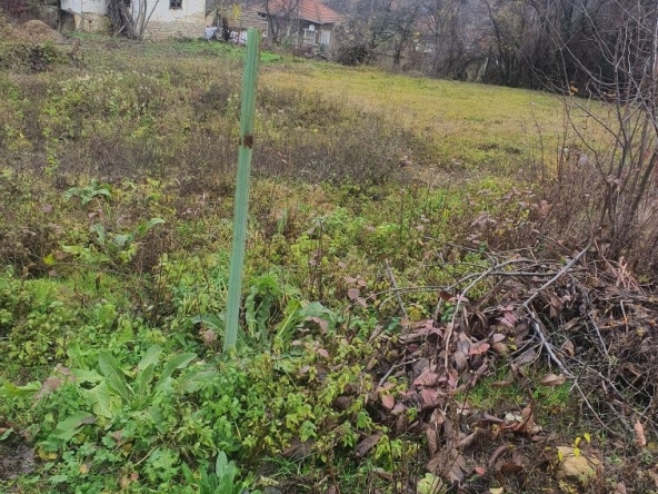 Парцел в с. Горно Церовене, Област Монтана - 1450 кв.м за 9 €/кв.м - Снимка #1