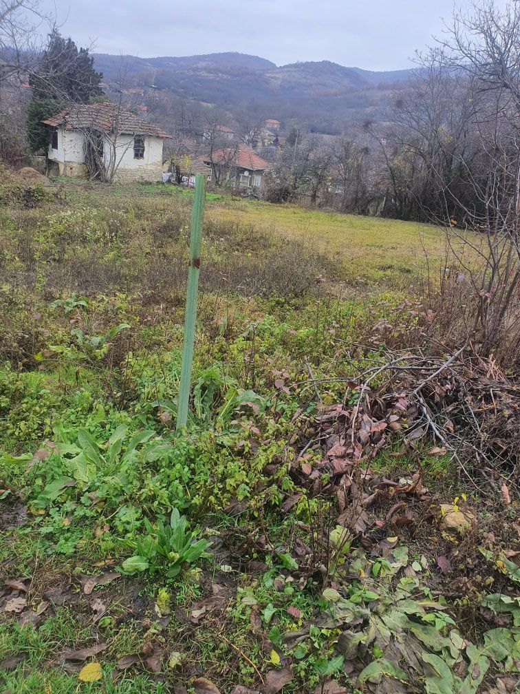 Парцел в с. Горно Церовене, Област Монтана - 1450 кв.м за 9 €/кв.м - Снимка #1