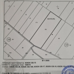 Парцел в с. Росен, Област Бургас - 19000 кв.м за 3 €/кв.м - Снимка #1