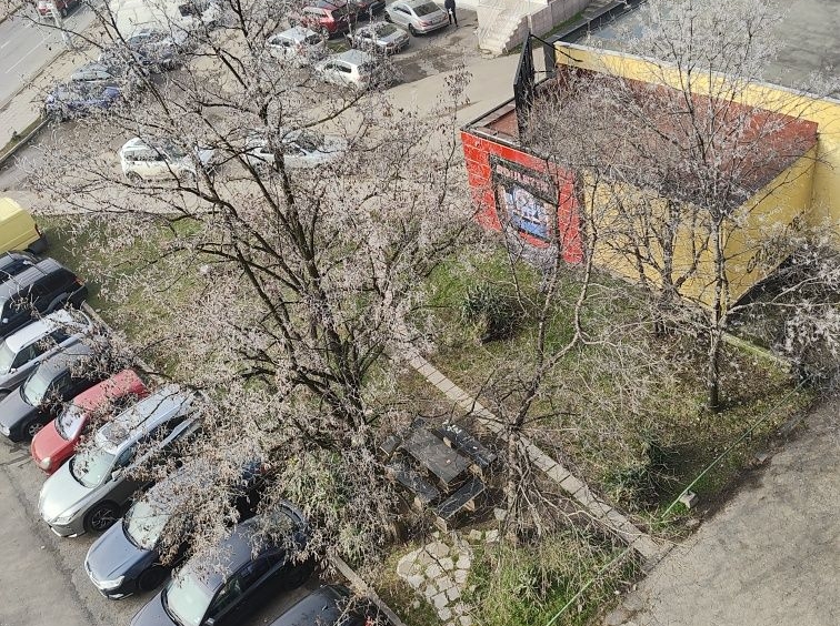 Дава се под наем Магазин в София, Разсадника - 11 кв.м за 76.5 € - Снимка #1