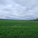 Земеделски имот в с. Ябълчево, Област Бургас -  кв.м за 2285 €/дка - Снимка #1