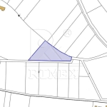 Парцел в с. Оризари, Област Пловдив - 5000 кв.м за 30 €/кв.м - Снимка #1