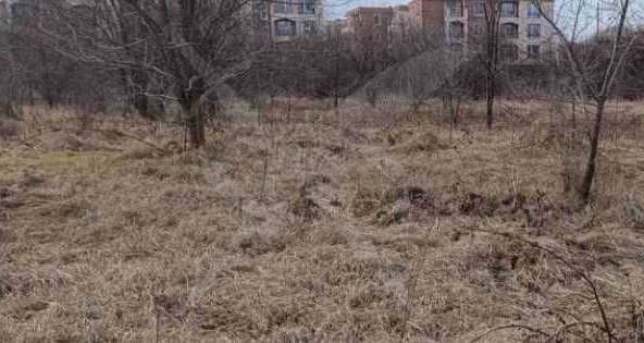 Парцел в с. Кошарица, Област Бургас - 3751 кв.м за 3 €/кв.м - Снимка #1