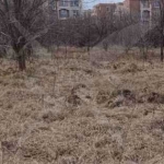 Парцел в с. Кошарица, Област Бургас - 3751 кв.м за 5 €/кв.м - Снимка #1