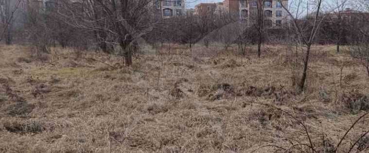 Парцел в с. Кошарица, Област Бургас - 3751 кв.м за 5 €/кв.м - Снимка #1