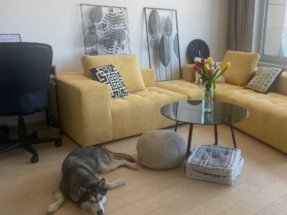 Дава се под наем Тристаен апартамент в Пловдив, Център - 87 кв.м за 316.2 € - Снимка #1