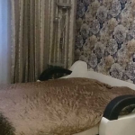 Дава се под наем Едностаен апартамент в Пловдив, Южен - 40 кв.м за 188.7 € - Снимка #1