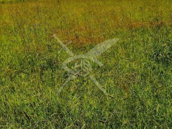 Парцел в с. Труд, Област Пловдив - 2640 кв.м за 53 €/кв.м - Снимка #1