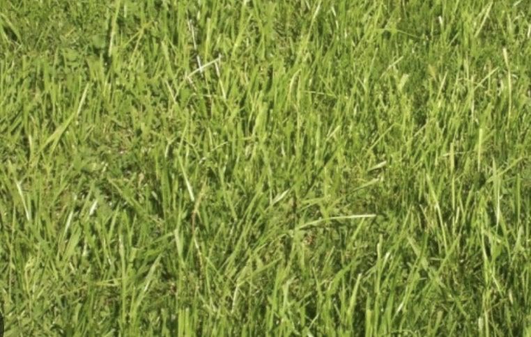 Парцел в Перник, Църква - 500 кв.м за 102 €/кв.м - Снимка #1