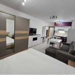 Дава се под наем Едностаен апартамент в София, Гео Милев - 55 кв.м за 300 € - Снимка #1