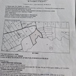 Земеделски имот в с. Ново Оряхово, Област Варна -  кв.м за 2 €/дка - Снимка #1