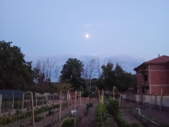 Парцел в с. Поповица, Област Пловдив - 525 кв.м за 24 €/кв.м - Снимка #1