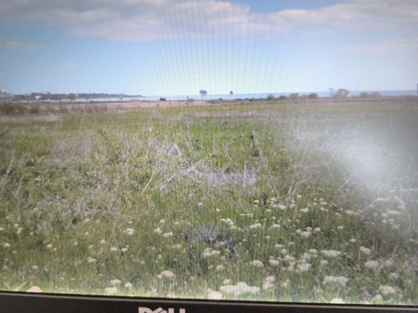 Парцел в Бургас, Сарафово - 1900 кв.м за 22 €/кв.м - Снимка #1