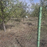 Парцел в Кюстендил, Върташево - 1500 кв.м за 24 €/кв.м - Снимка #1