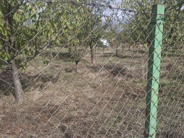 Парцел в Кюстендил, Върташево - 1500 кв.м за 24 €/кв.м - Снимка #1